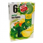 Admit teamécses - menta 6db Admit teamécses - menta 6db